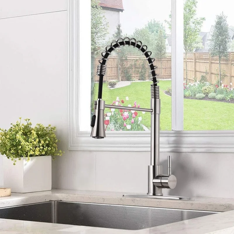 2-Function Sprayer Can Pull Down The Kitchen Sink Faucet