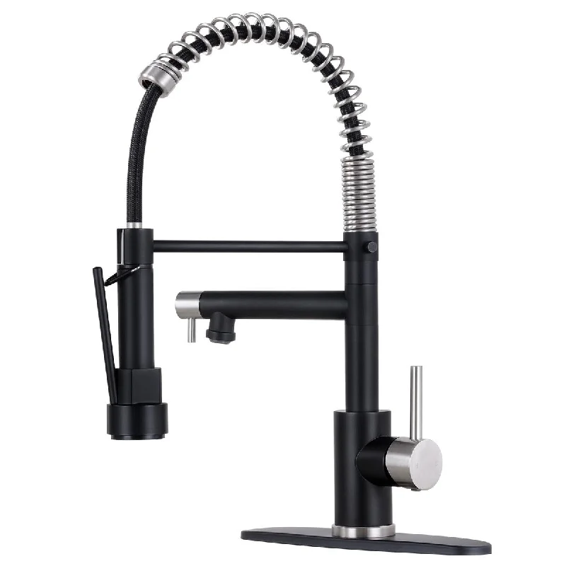 Commerical Kitchen Faucet with Pull Down Sprayer, Single Handle 2 Spout Spring Kitchen Sink Faucet with Lock, with Deck Plate