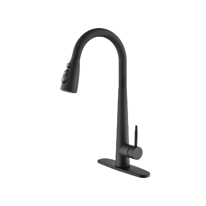 Kitchen Faucet with Pull Down Sprayer,High Arc Single Handle Kitchen Sink Faucet with Deck Plate, Commercial Modern