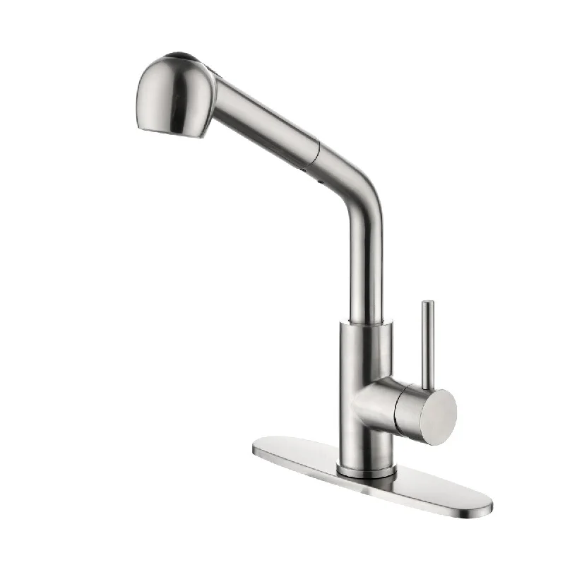 Kitchen Faucets with Pull Down Sprayer, Single Handle Kitchen Sink Faucet with Pull Out Sprayer, Brushed Nickel