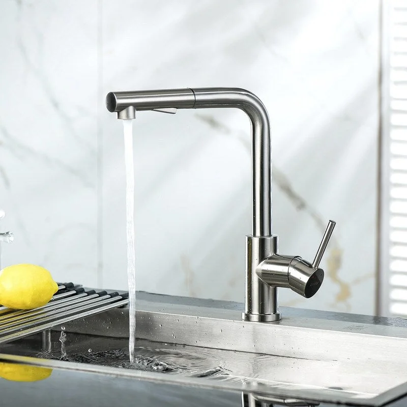 Kitchen Sink Faucet with Pull Down Sprayer Single Lever