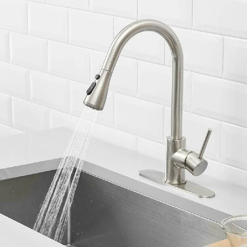 Kitchen Sink Faucet with Pull Out Sprayer