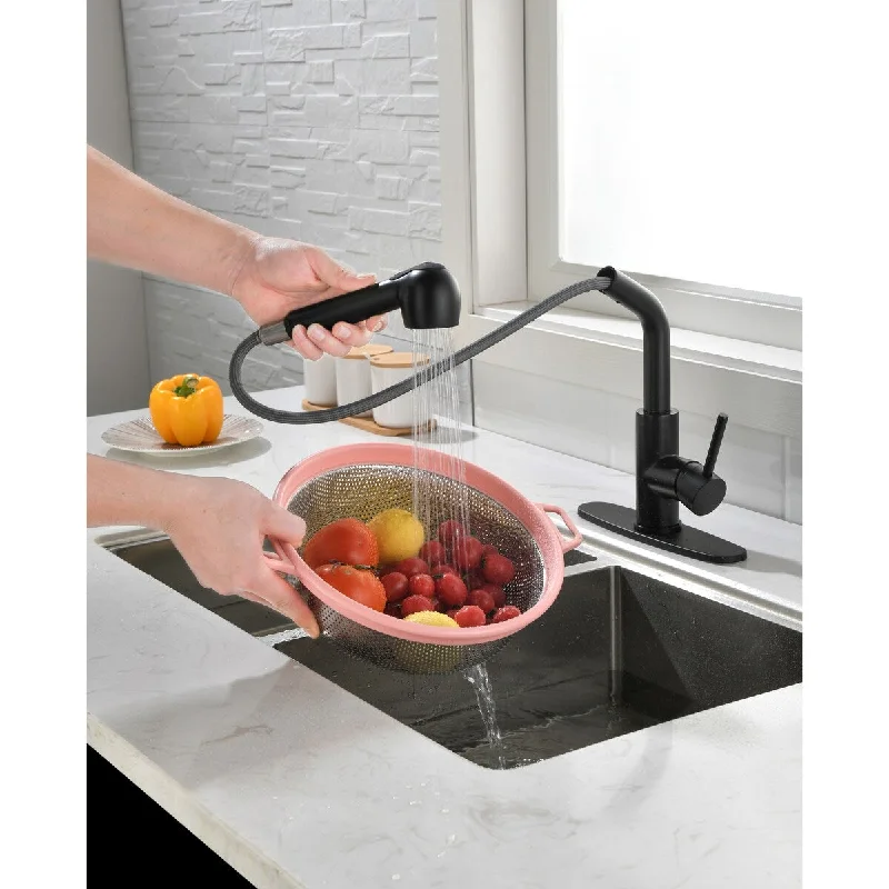 Matte Black Kitchen Faucets with Pull Down Sprayer, Single Handle Kitchen Sink Faucet with Pull Out Sprayer