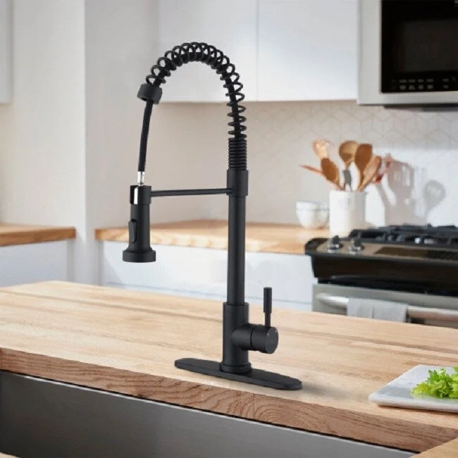 Pull Down Sprayer Spring Kitchen Sink Faucet Matte Black