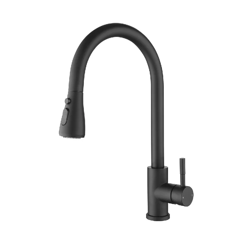 Single Handle High Arc Brushed Nickel Pull Out Kitchen Faucet Stainless Steel Kitchen Sink Faucets with Pull Down Sprayer Black