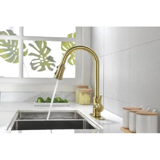 Single Handle High Arc Pull Out Kitchen Faucet,Single Level Stainless Steel Kitchen Sink Faucets with Pull Down Sprayer