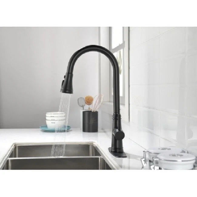 Single Handle High Arc Pull Out Kitchen Faucet,Single Level Stainless Steel Kitchen Sink Faucets with Pull Down Sprayer