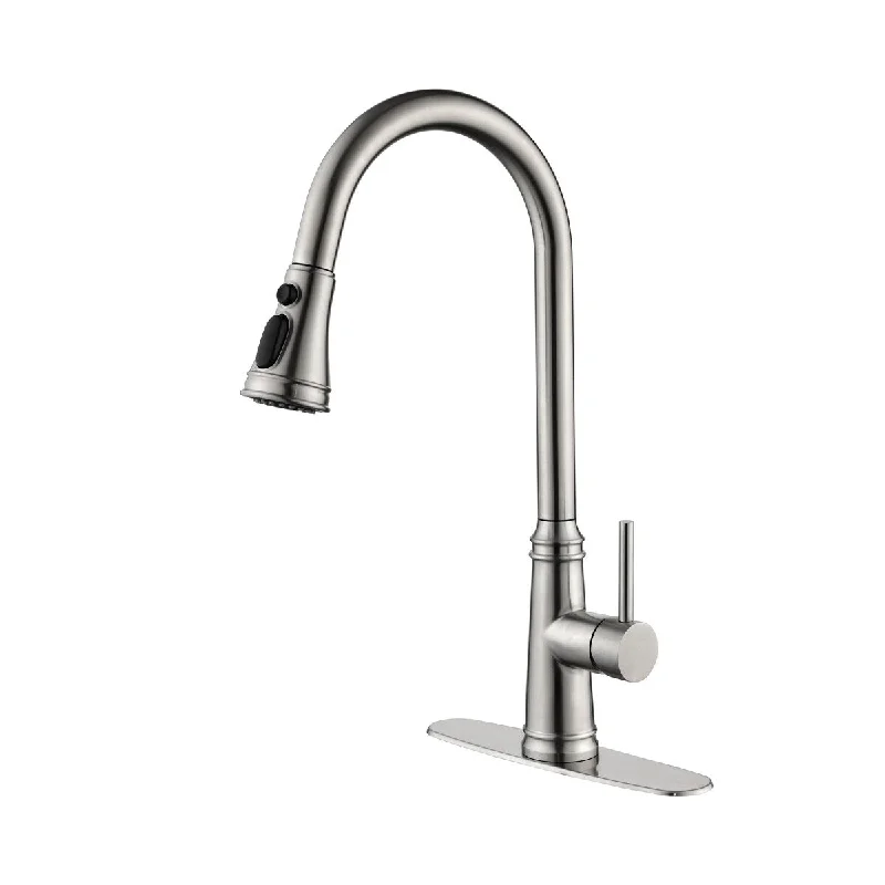 Single Handle High Arc Pull Out Kitchen Faucet,Single Level Stainless Steel Kitchen Sink Faucets with Pull Down Sprayer